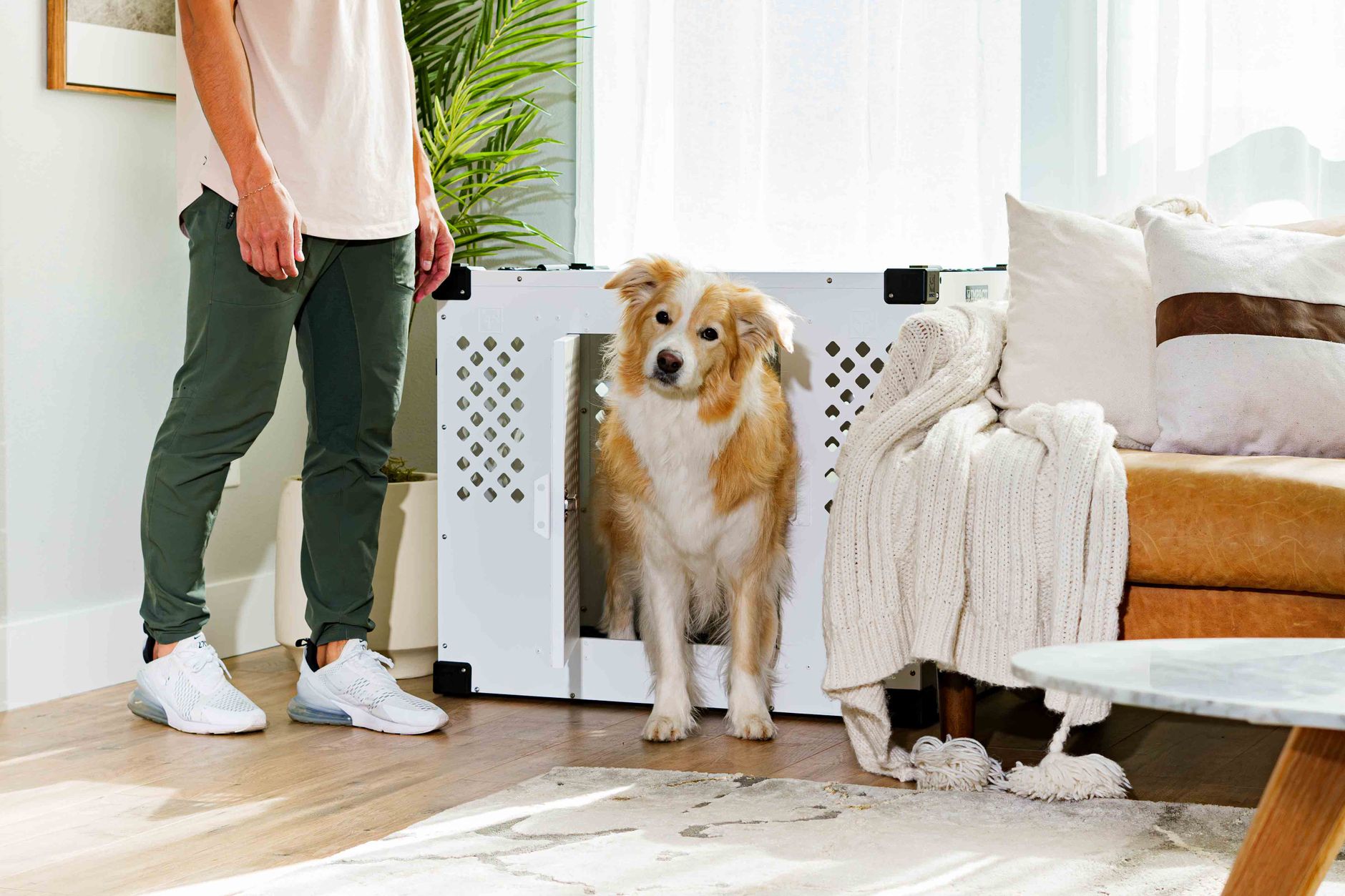 Hond liggend op een zachte mat in zijn bench